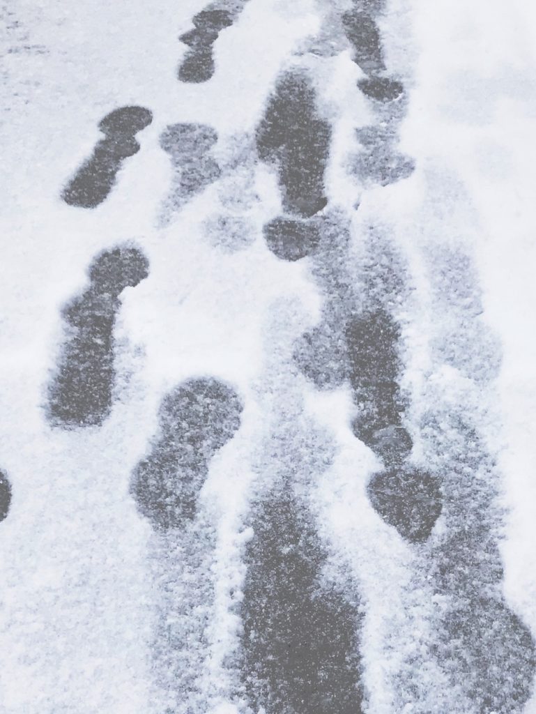 عکاس ساقی قهرمان